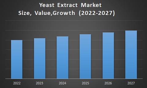 Yeast Extract Market 